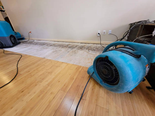 Professional Water Damage Repair technician working in Sandy Lake, PA